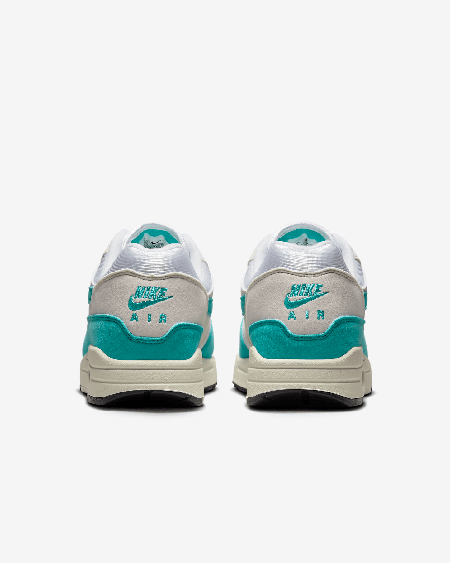 Men's Nike Air Max 1 Dusty Cactus Shoes