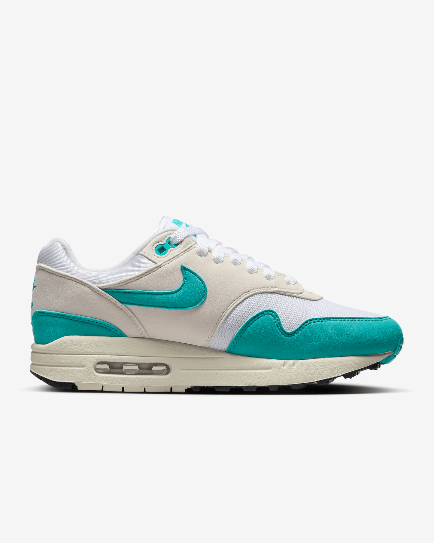 Men's Nike Air Max 1 Dusty Cactus Shoes