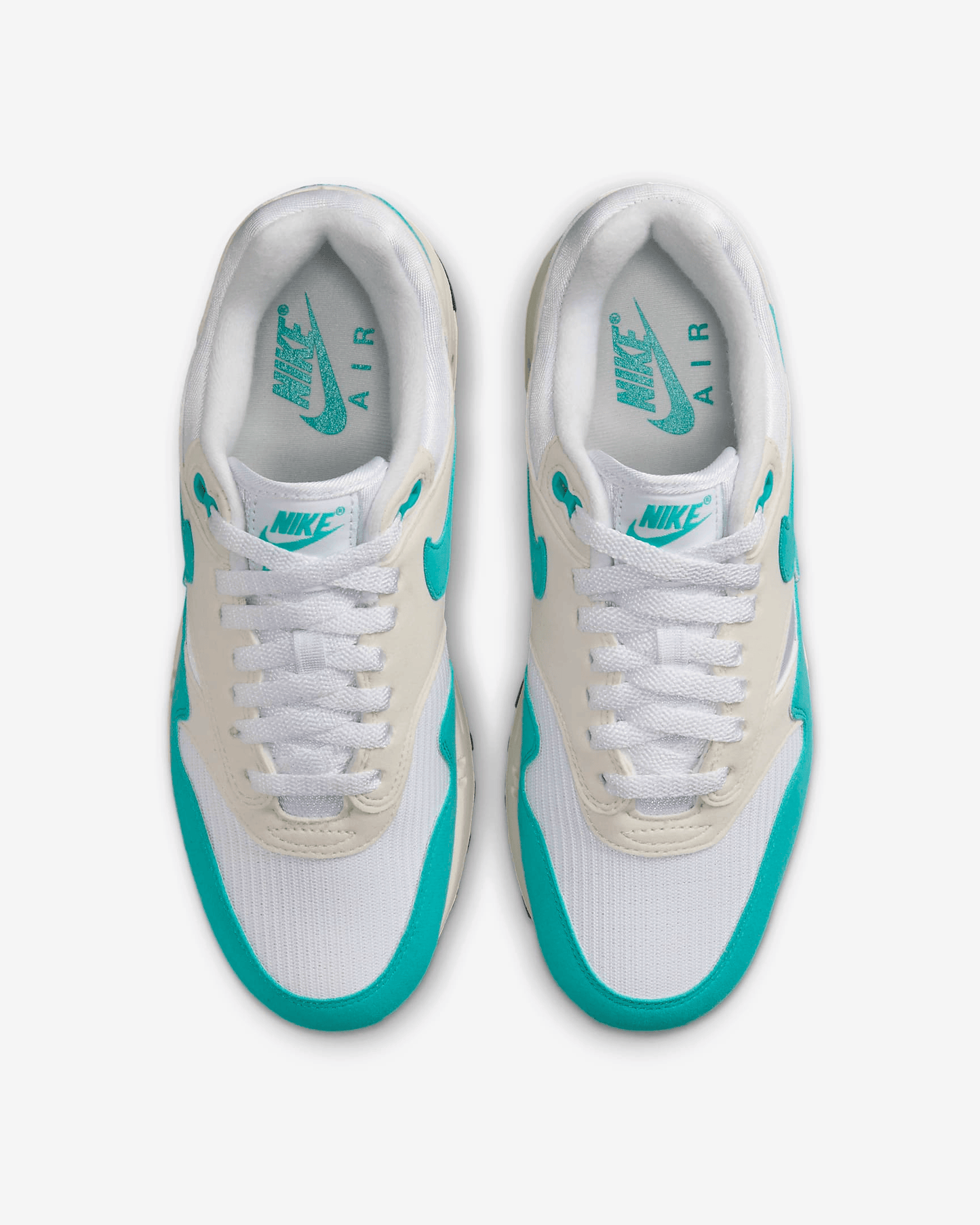 Men's Nike Air Max 1 Dusty Cactus Shoes