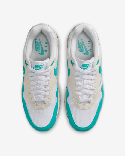 Men's Nike Air Max 1 Dusty Cactus Shoes