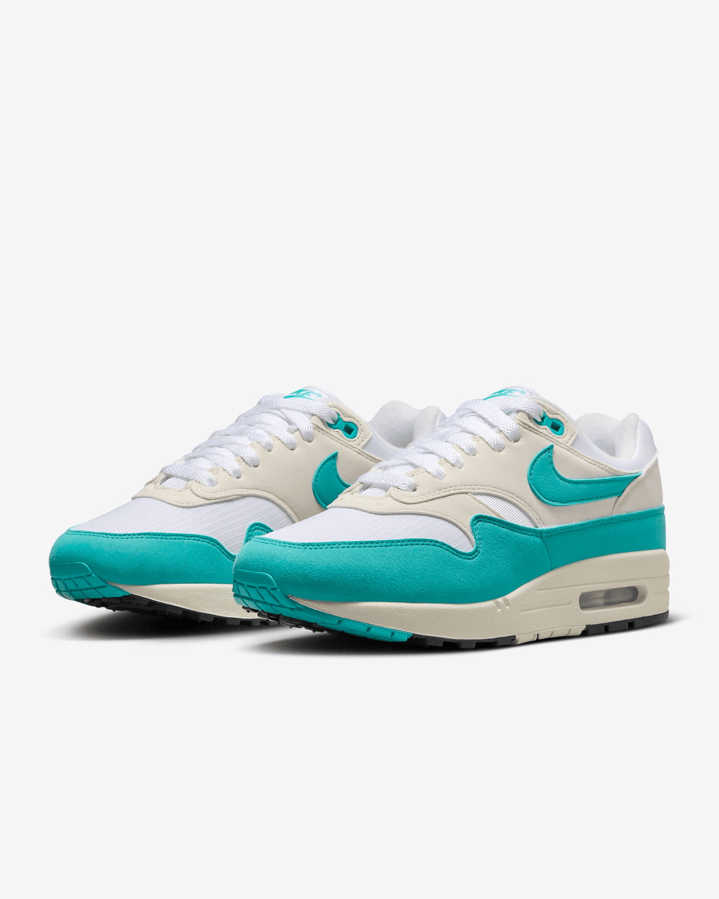 Men's Nike Air Max 1 Dusty Cactus Shoes
