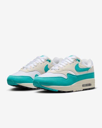 Men's Nike Air Max 1 Dusty Cactus Shoes