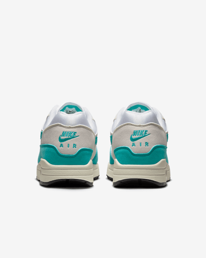 Men's Nike Air Max 1 Dusty Cactus Shoes