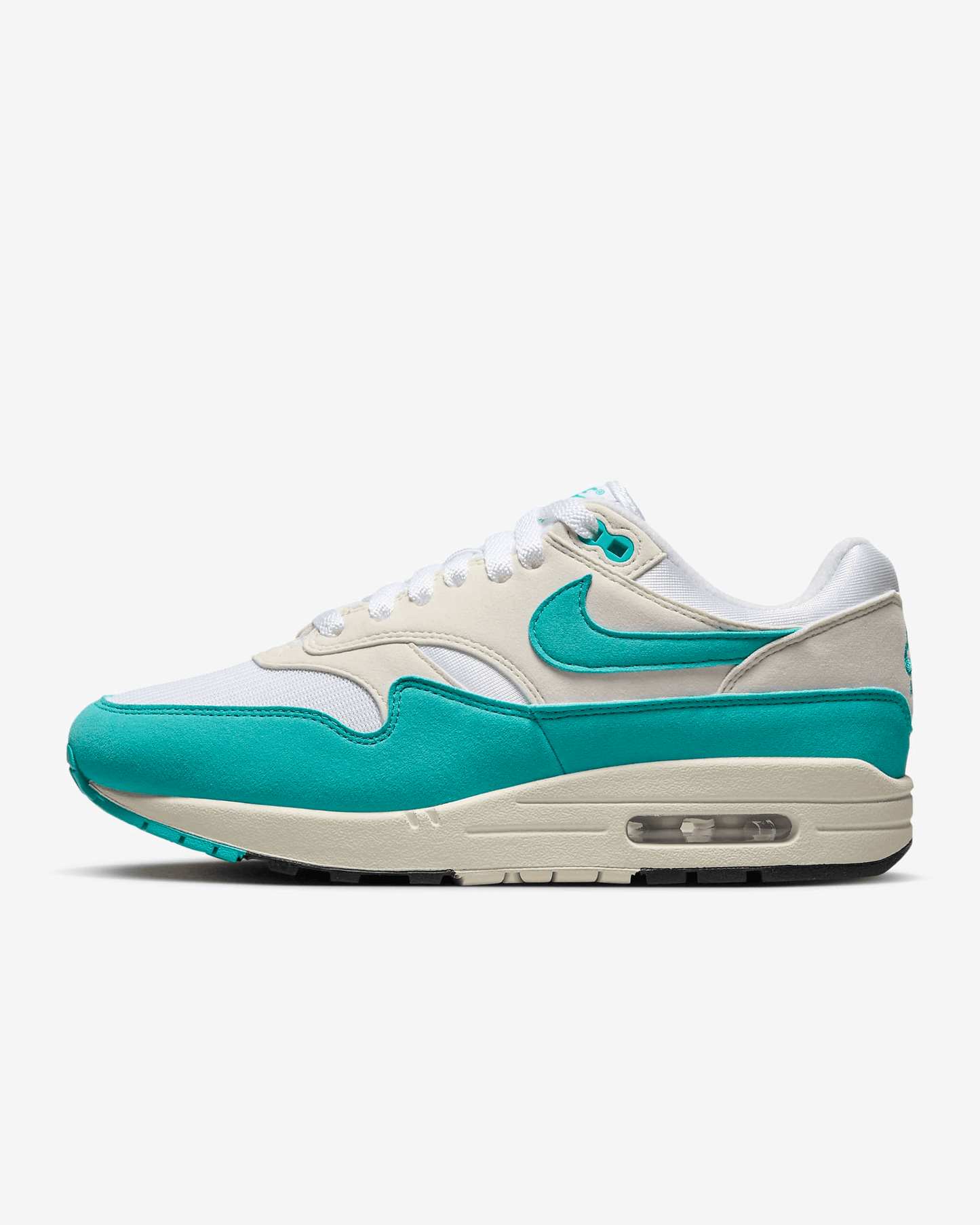 Men's Nike Air Max 1 Dusty Cactus Shoes