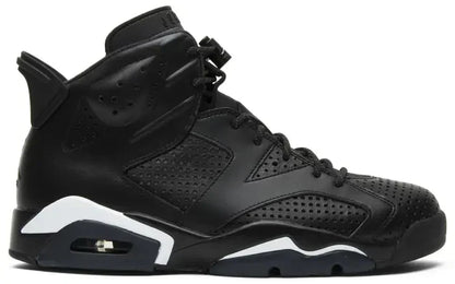 Men's Air Jordan 6 Black Cat Shoes