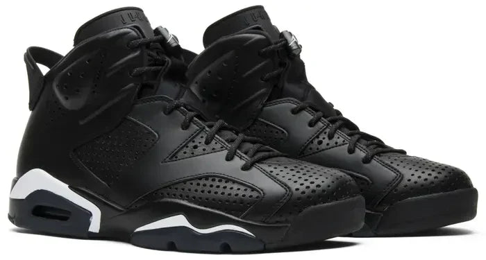 Men's Air Jordan 6 Black Cat Shoes