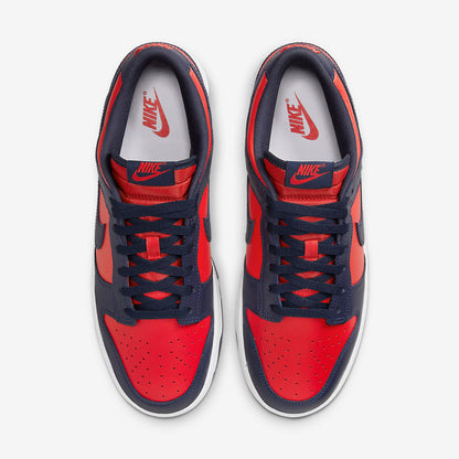 Men's Nike Dunk Low City Attack Shoes