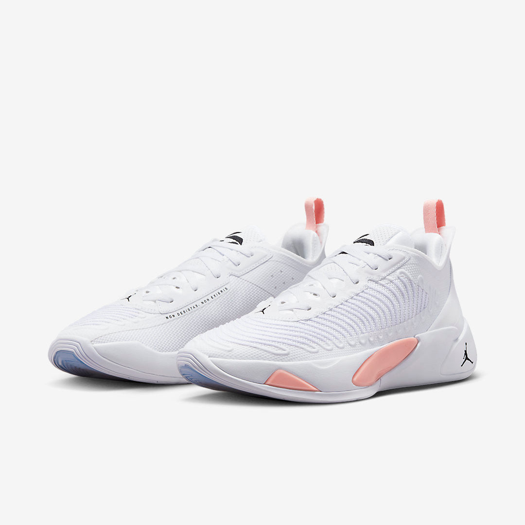 Men's Air Jordan Luka 1 Dog Dad Shoes
