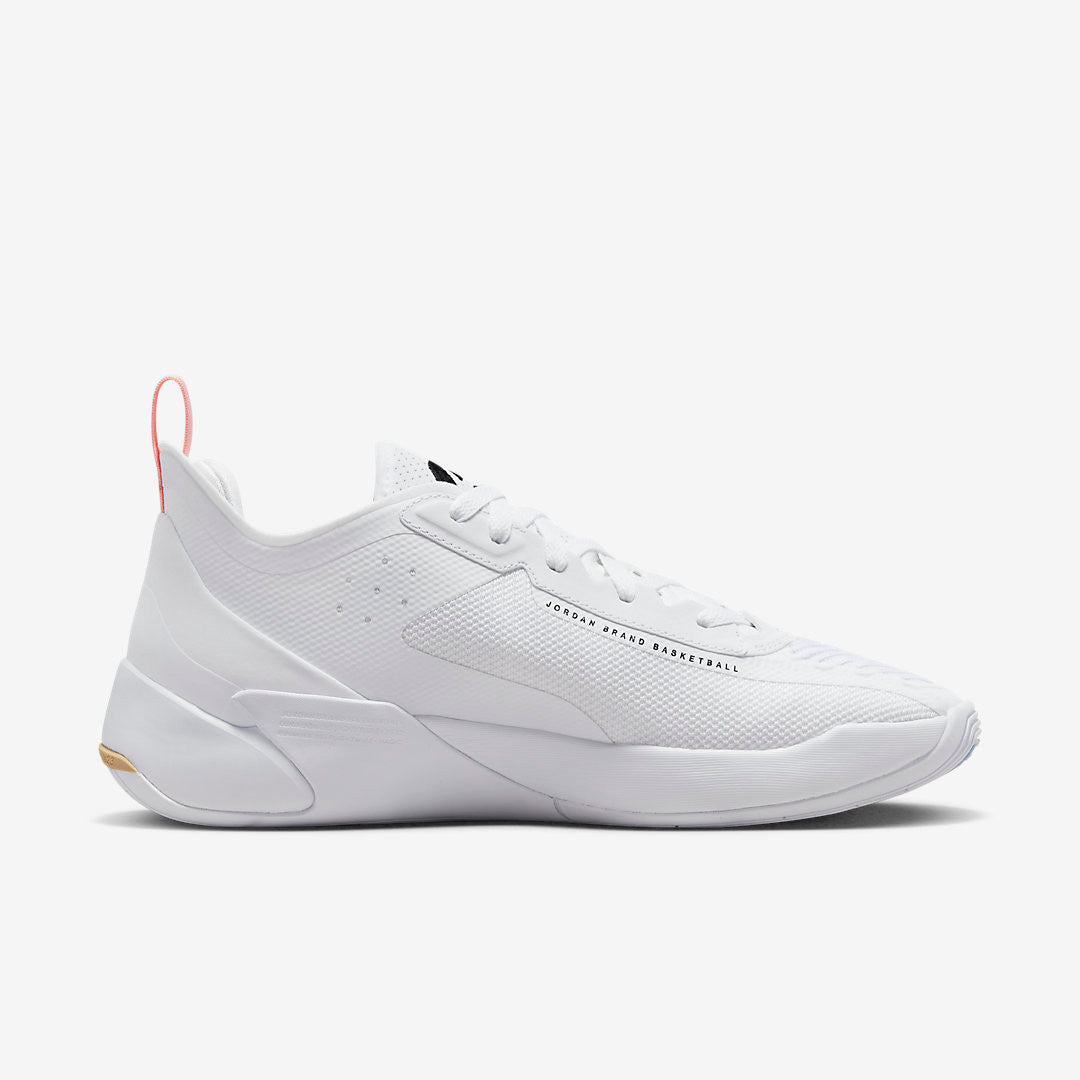 Men's Air Jordan Luka 1 Dog Dad Shoes