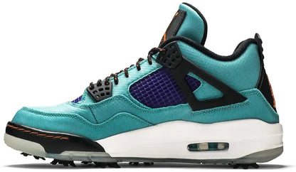 Men's Air Jordan 4 'Torrey Pines' Shoes