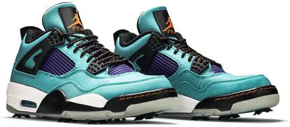 Men's Air Jordan 4 'Torrey Pines' Shoes