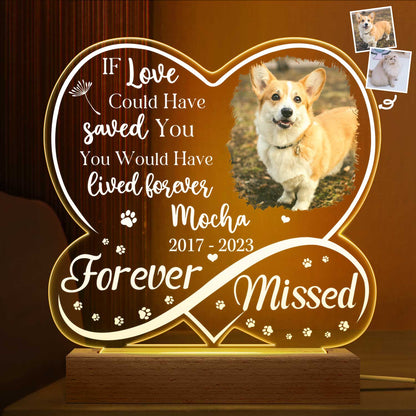 Custom Photo Dog Cat Infinity Heart Forever Missed - Personalized 3D Led Light Wooden Base