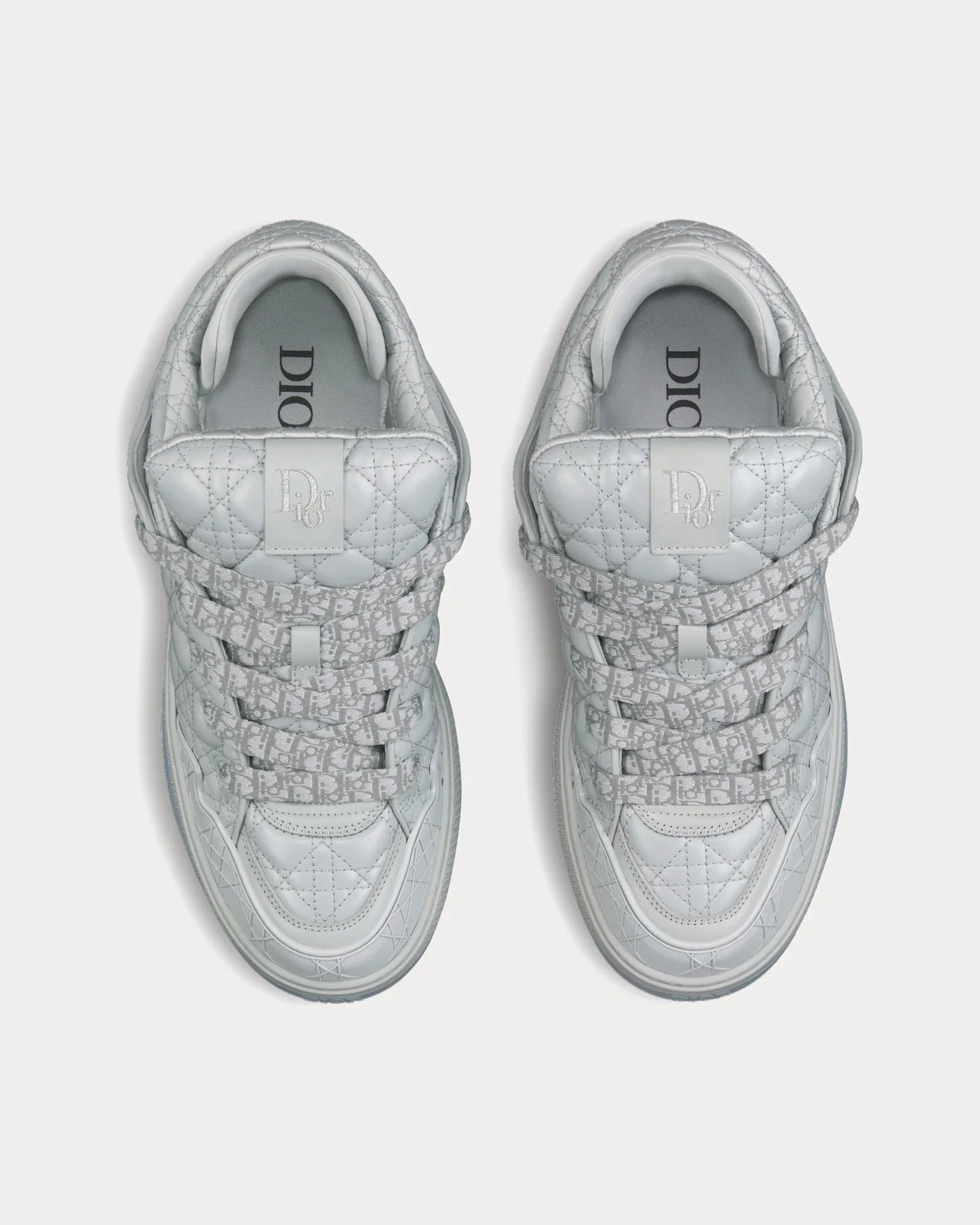 Men's Dior - B9S Skater Gray Sneakers