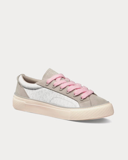Men's Dior B33 Runner Gray and White Sneakers