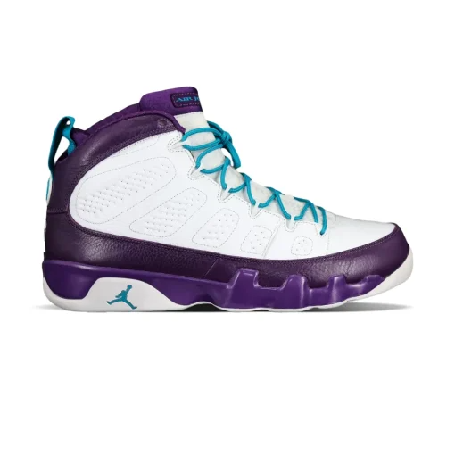 Men's Nike Air Jordan 9 Purple Shoes